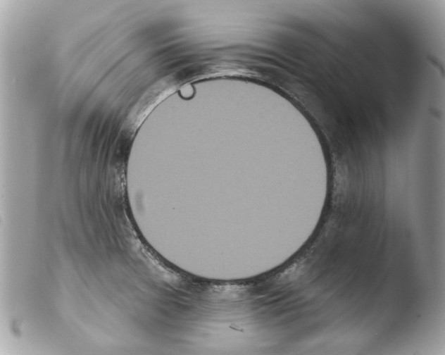 X0000103931377200810171741