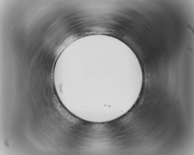 X0000103931378200810171741