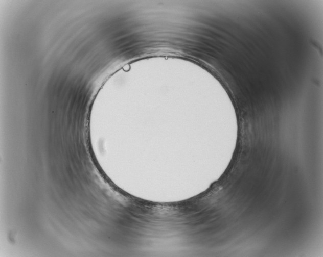 X0000103931379200810171741