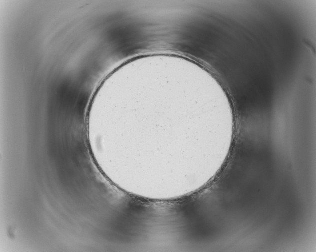 X0000103931380200810171741