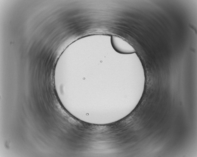 X0000103931382200810171741