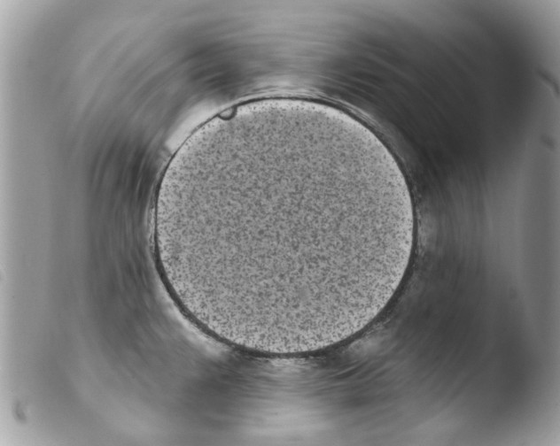 X0000103931383200810171741