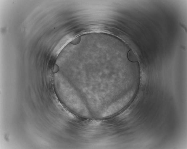 X0000103931385200810171741