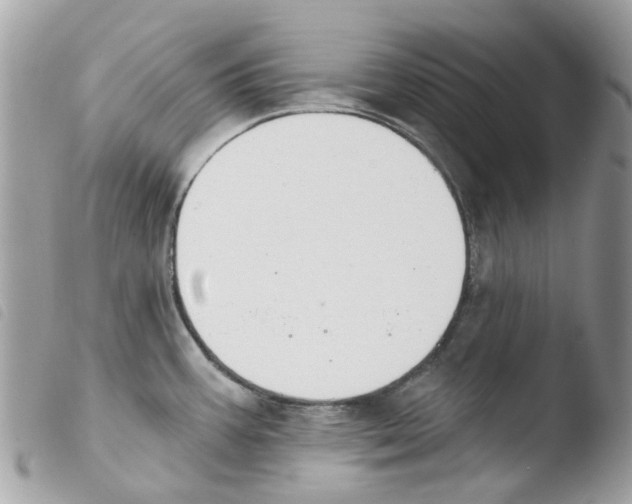 X0000103931387200810171741