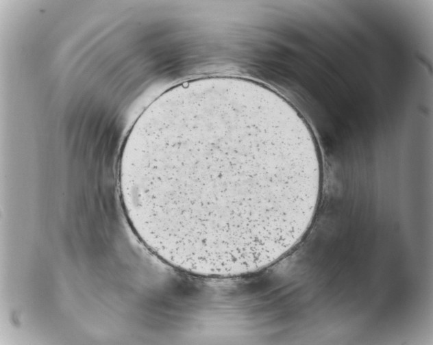 X0000103931389200810171741