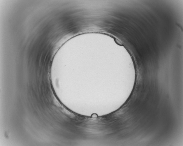 X0000103931390200810171741