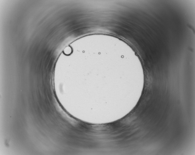 X0000103931391200810171741