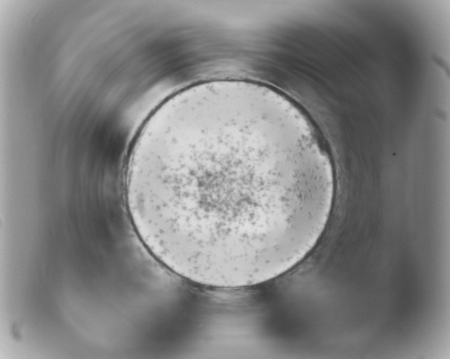 X0000103931392200810171741