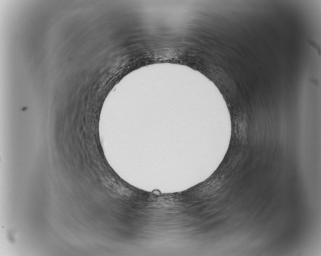 X0000103931393200810171740