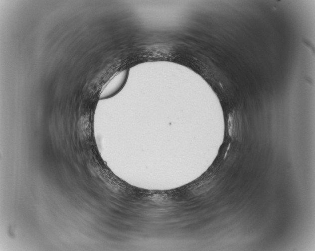 X0000103931395200810171740