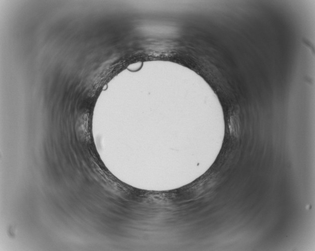 X0000103931396200810171740