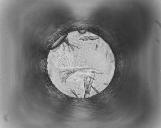 X0000103931397200810171740