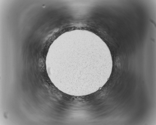 X0000103931398200810171740