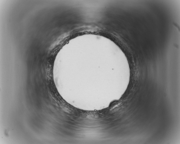 X0000103931399200810171740