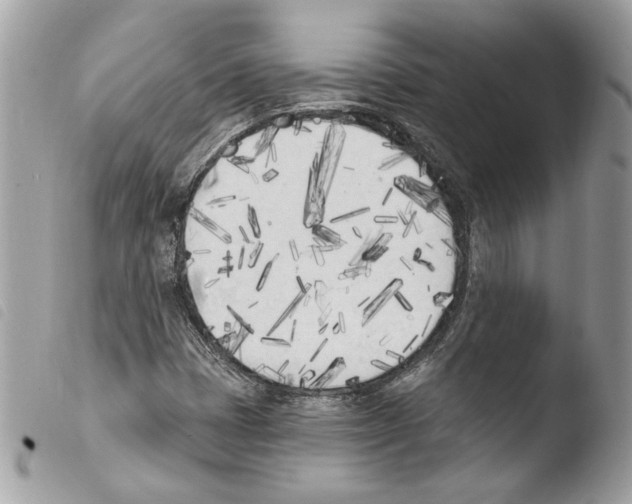 X0000103931401200810171740