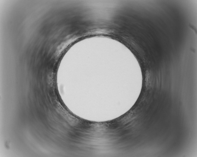 X0000103931404200810171740