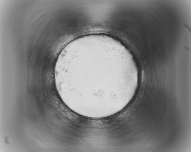 X0000103931405200810171740