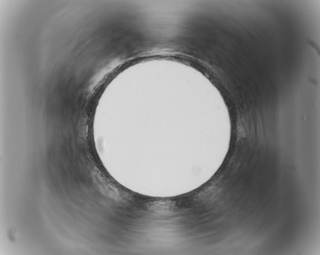 X0000103931406200810171740