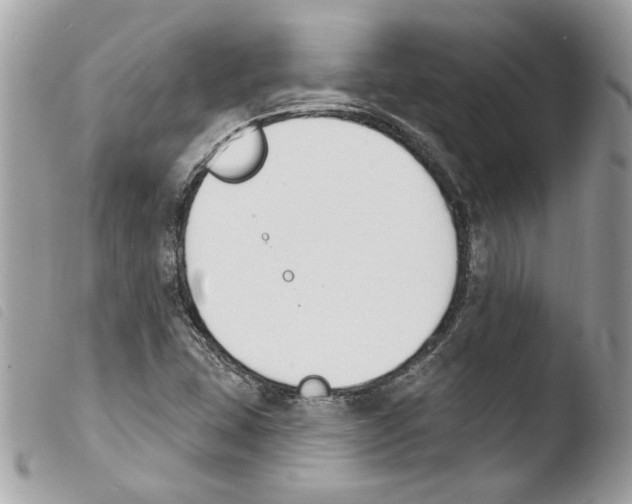 X0000103931407200810171740