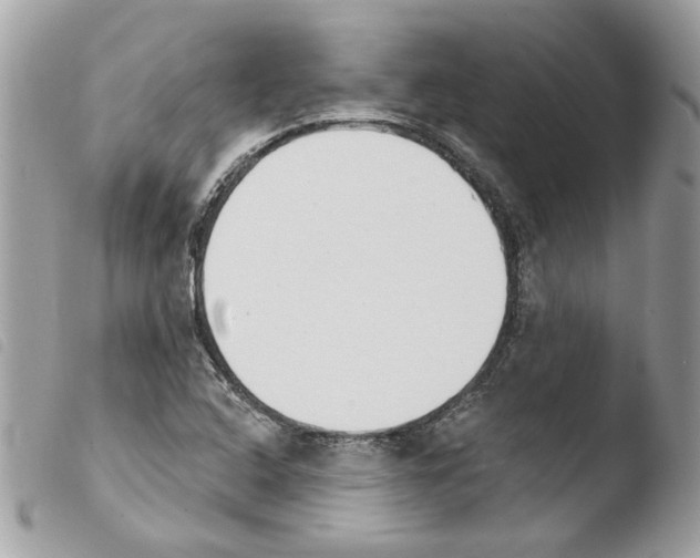 X0000103931408200810171740