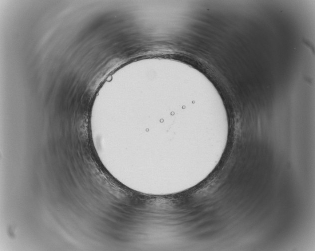 X0000103931409200810171740