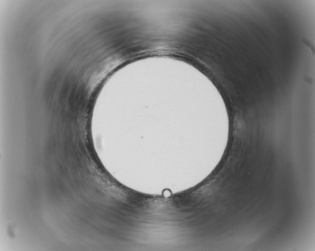 X0000103931410200810171741