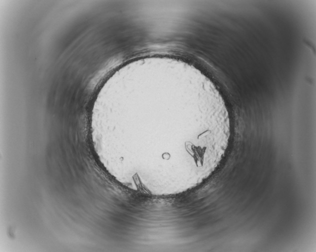 X0000103931411200810171741
