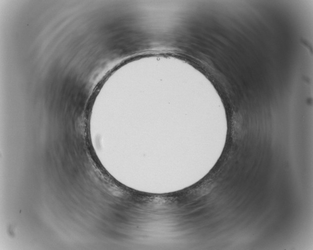 X0000103931412200810171741