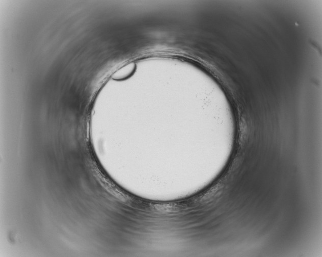 X0000103931413200810171741