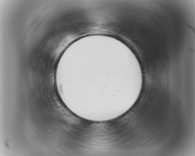 X0000103931415200810171741