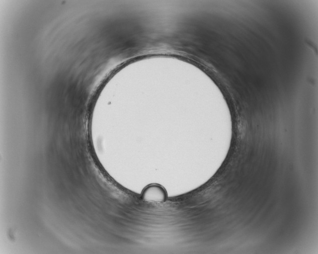 X0000103931416200810171741