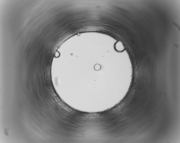 X0000103931417200810171741