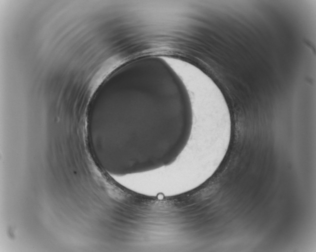 X0000103931418200810171741