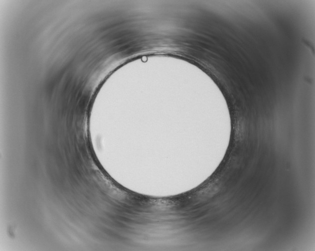 X0000103931420200810171741