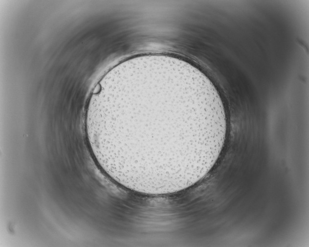 X0000103931421200810171741