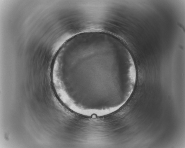 X0000103931422200810171741