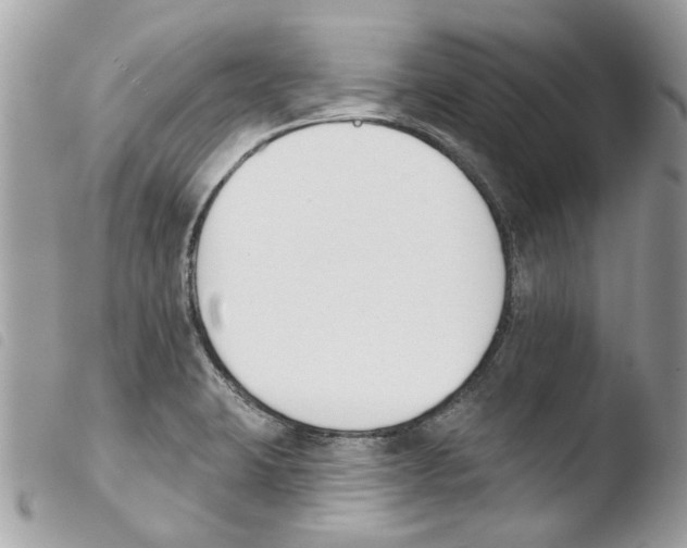 X0000103931423200810171741