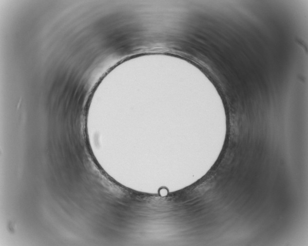 X0000103931424200810171741