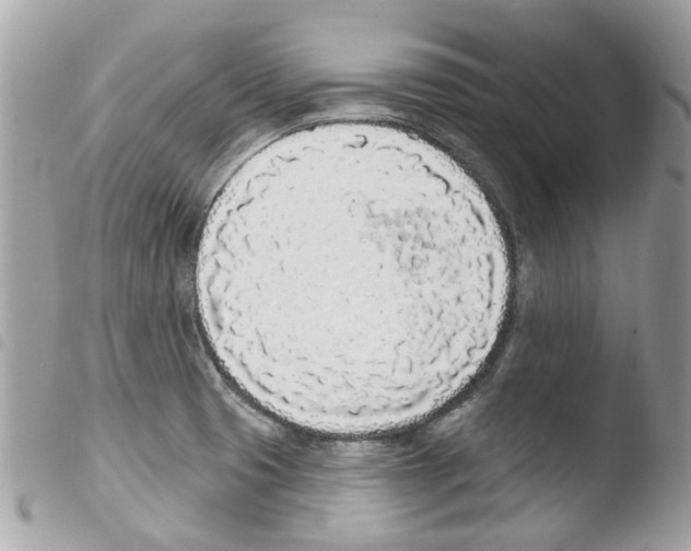 X0000103931425200810171741