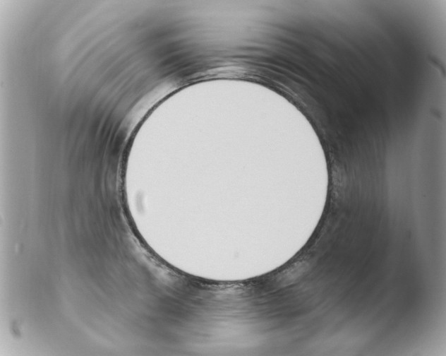 X0000103931426200810171741