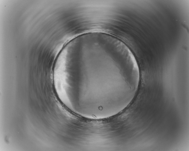 X0000103931428200810171741