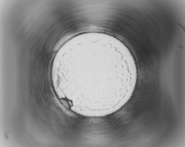 X0000103931429200810171741