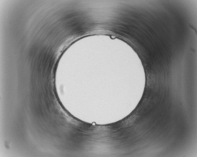 X0000103931430200810171741