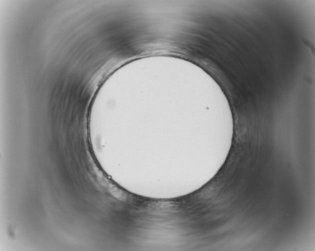 X0000103931431200810171741