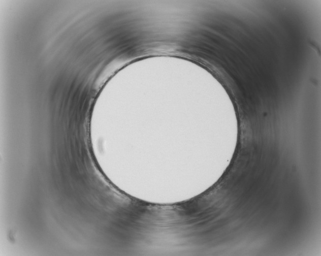 X0000103931432200810171741