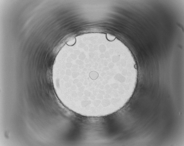 X0000103931433200810171741