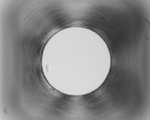 X0000103931434200810171741