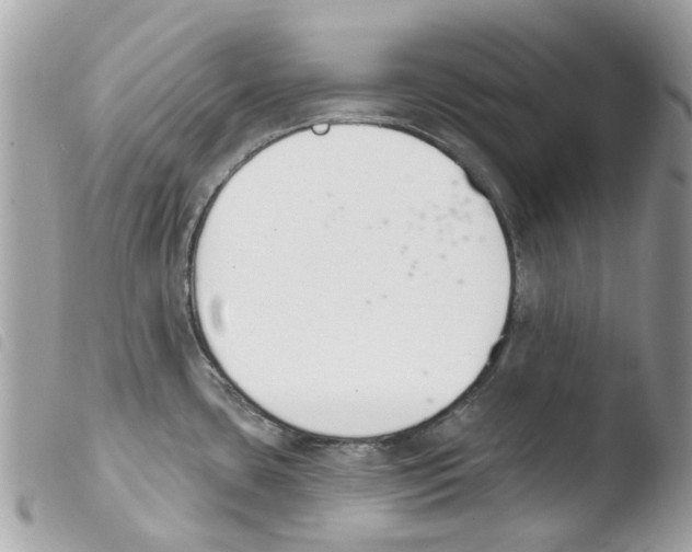 X0000103931435200810171741