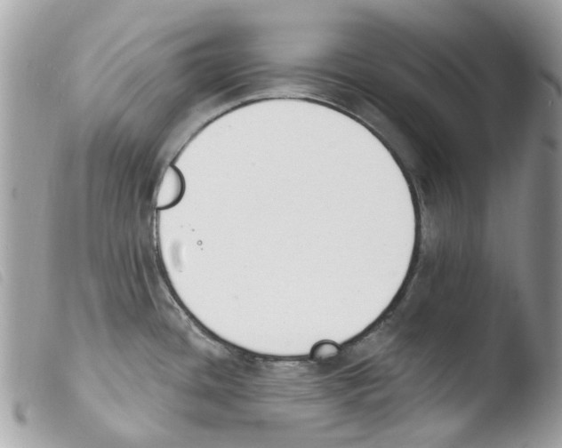 X0000103931436200810171741