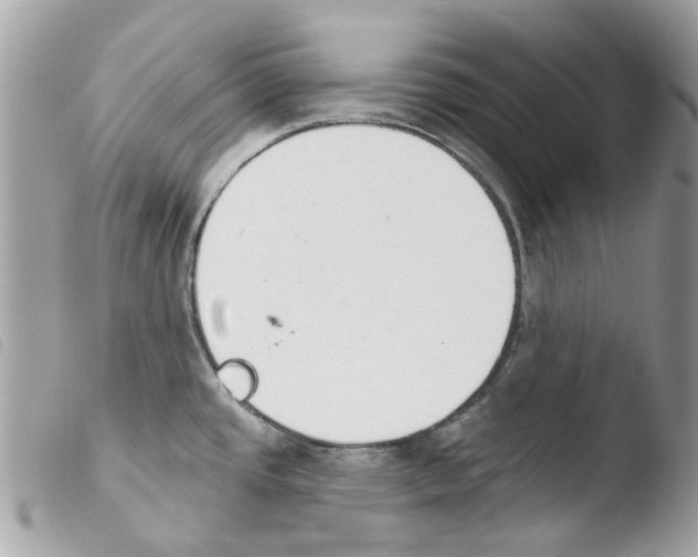 X0000103931437200810171741